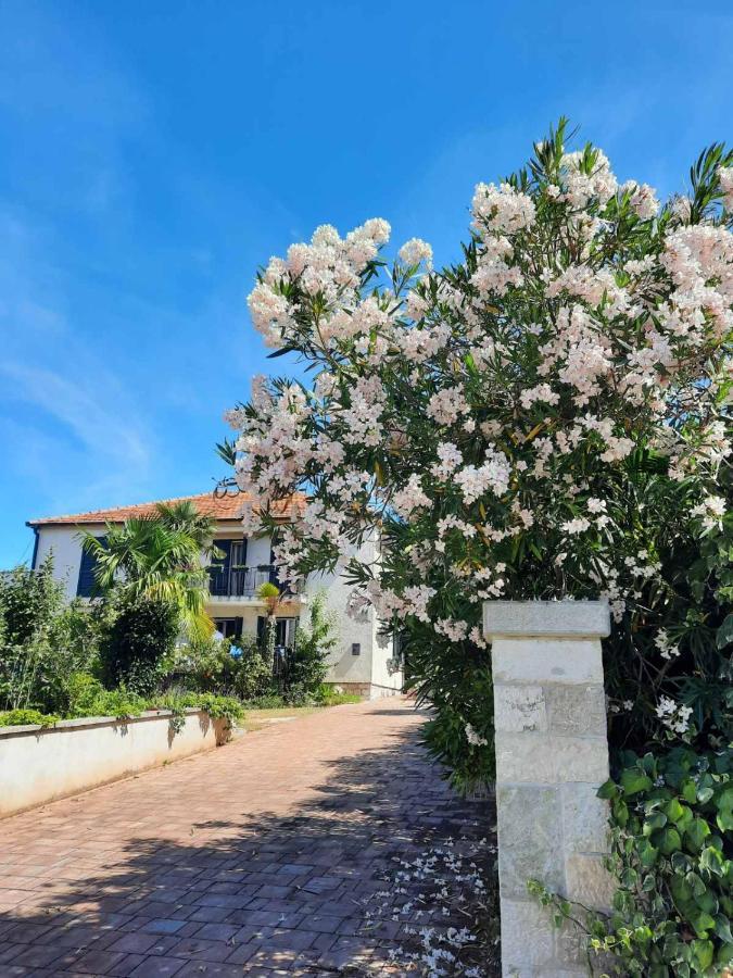 Apartments Palm House Rovinj Extérieur photo