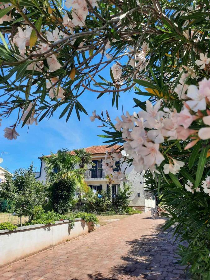 Apartments Palm House Rovinj Extérieur photo